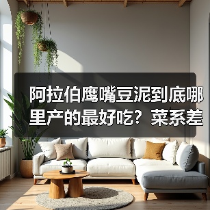 阿拉伯鹰嘴豆泥到底哪里产的最好吃?菜系差异大揭秘!✨(图1) 阿拉伯鹰嘴豆泥到底哪里产的最好吃?菜系差异大揭秘!✨(图1)
