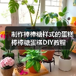 制作棒棒糖样式的蛋糕 棒棒糖蛋糕DIY教程（图4）