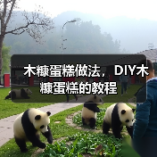木糠蛋糕做法，DIY木糠蛋糕的教程（图1）