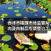 赤峰市喀旗市场监管局肉及肉制品专项整治工作取得成效（图4）