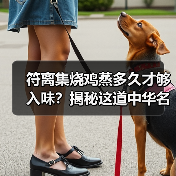 符离集烧鸡蒸多久才够入味？揭秘这道中华名鸡的软糯秘诀！（图2）