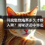 符离集烧鸡蒸多久才够入味？揭秘这道中华名鸡的软糯秘诀！（图1）