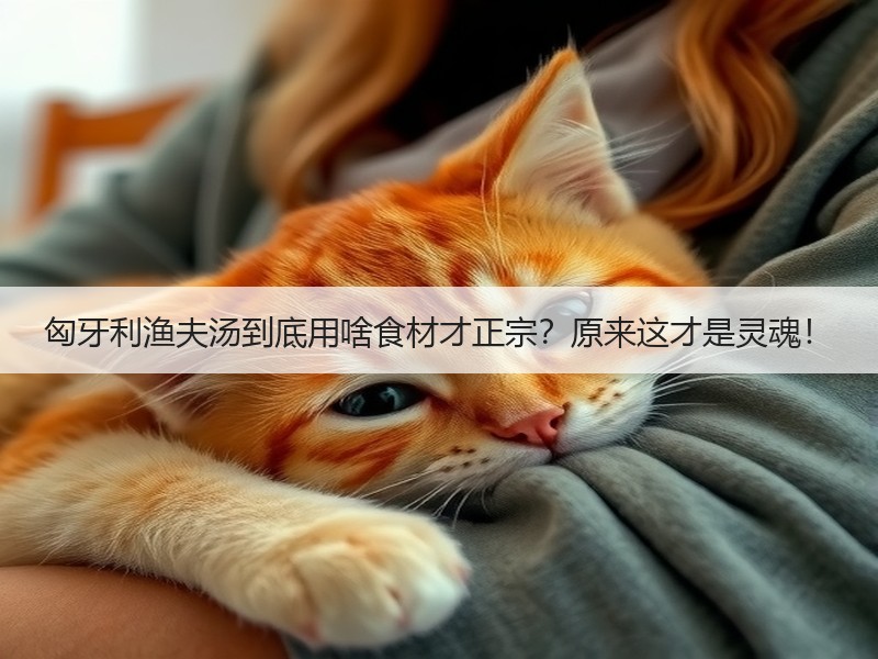 匈牙利渔夫汤到底用啥食材才正宗？原来这才是灵魂！