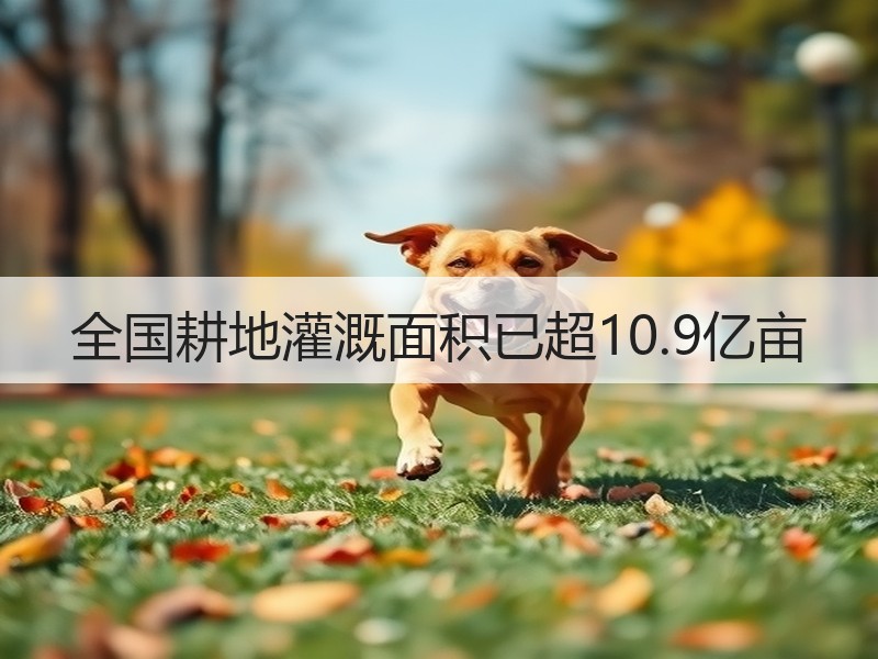 全国耕地灌溉面积已超10.9亿亩
