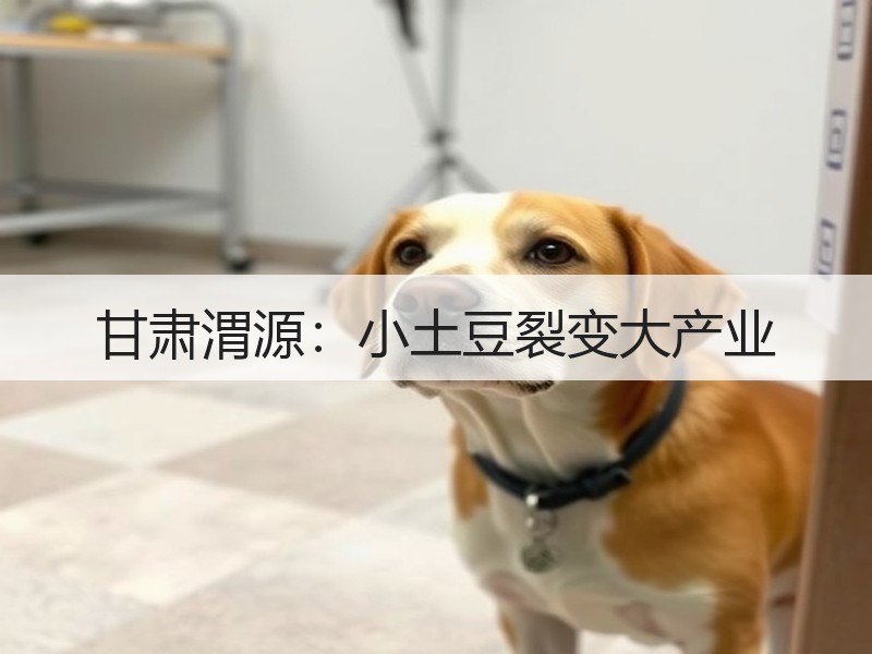 甘肃渭源：小土豆裂变大产业
