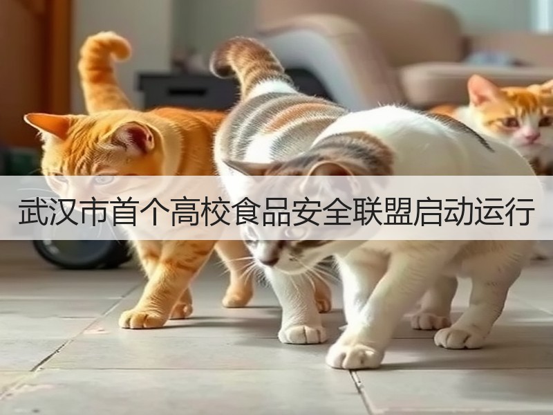 武汉市首个高校食品安全联盟启动运行