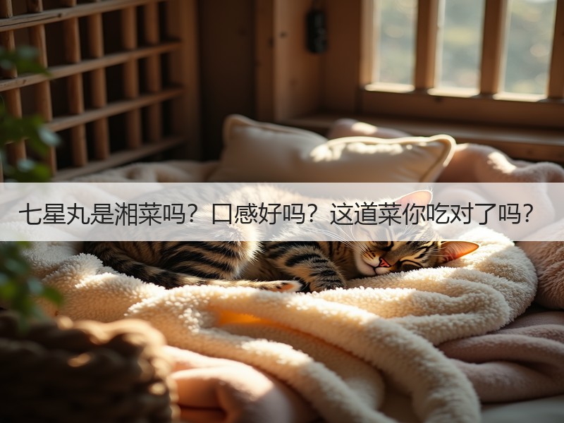 七星丸是湘菜吗？口感好吗？这道菜你吃对了吗？