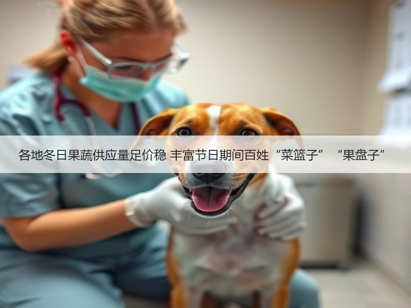 各地冬日果蔬供应量足价稳 丰富节日期间百姓“菜篮子”“果盘子”