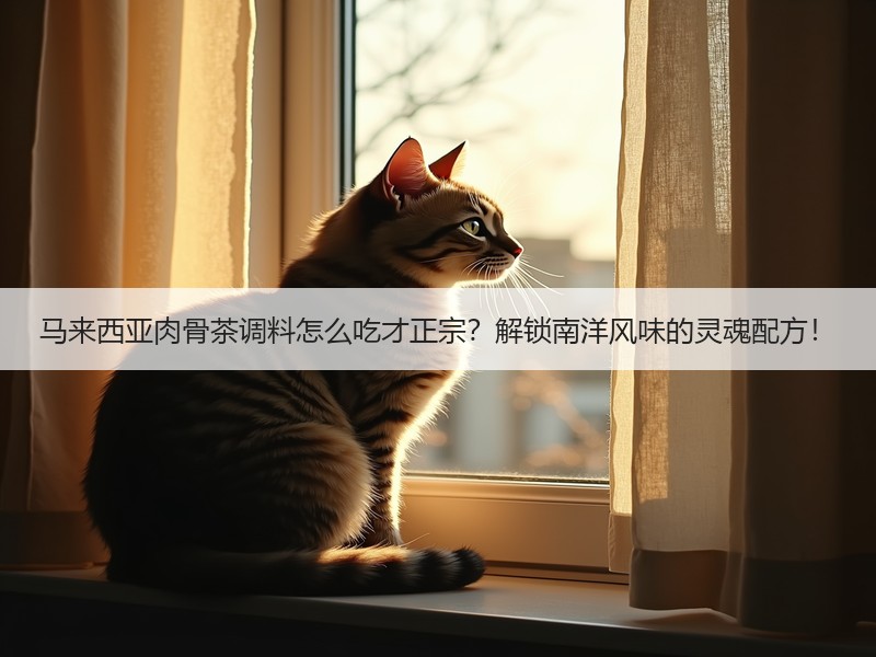 马来西亚肉骨茶调料怎么吃才正宗？解锁南洋风味的灵魂配方！