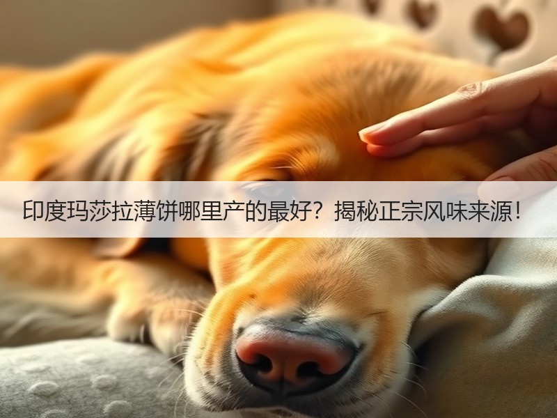 印度玛莎拉薄饼哪里产的最好？揭秘正宗风味来源！