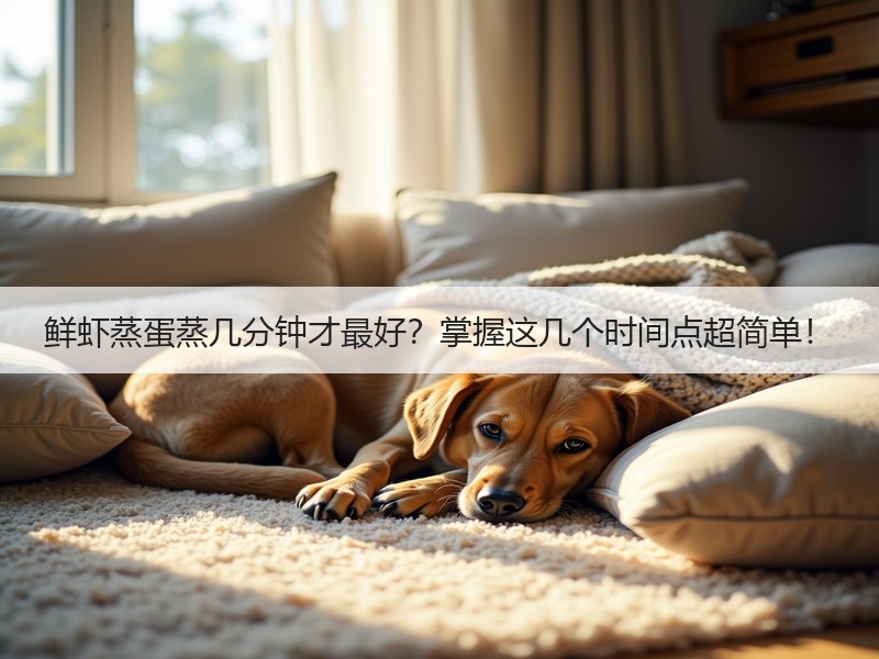 鲜虾蒸蛋蒸几分钟才最好？掌握这几个时间点超简单！